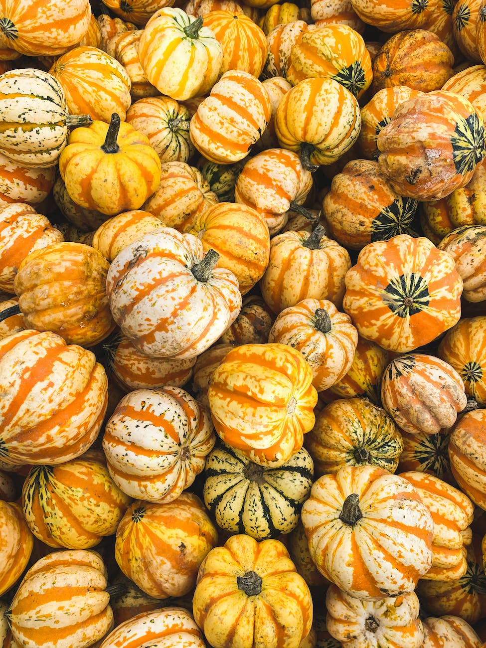 Mexican Pumpkins and Squash