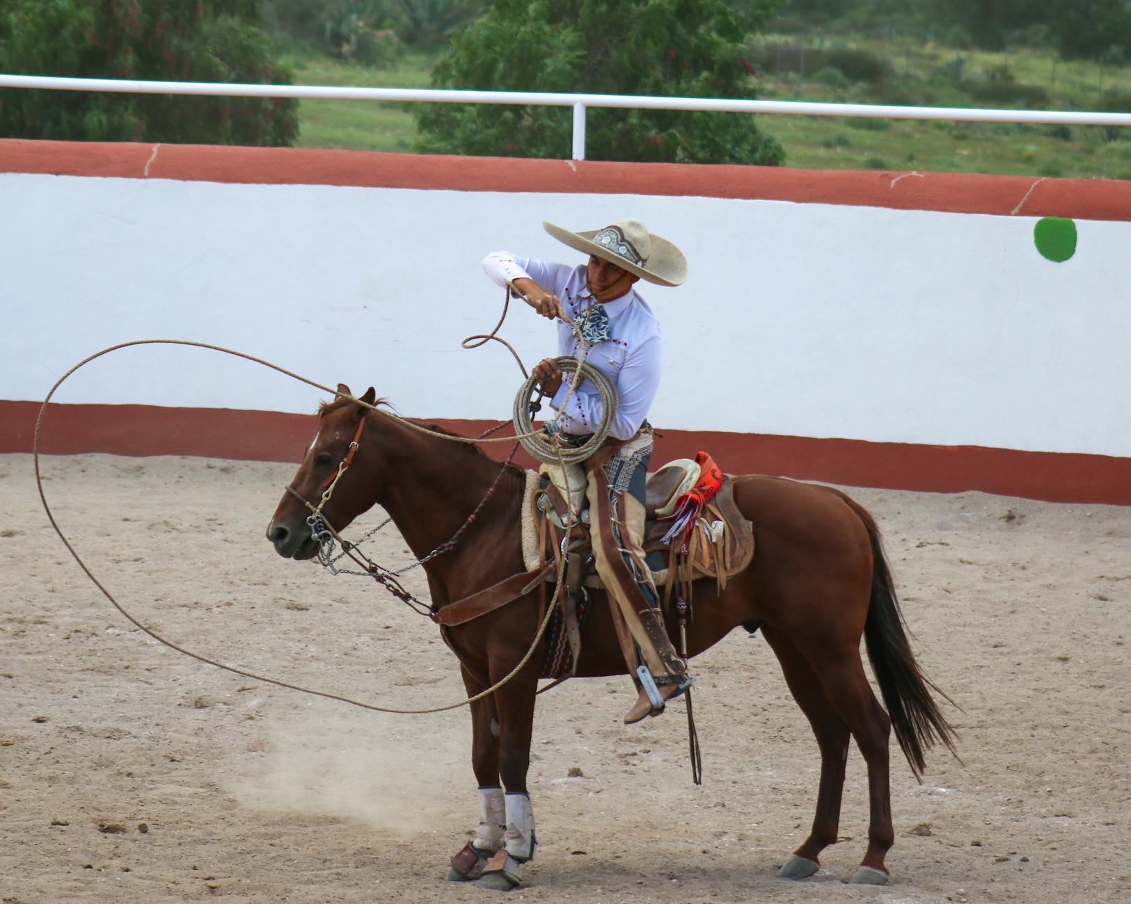 Day of the Mexican Charro: September 14 