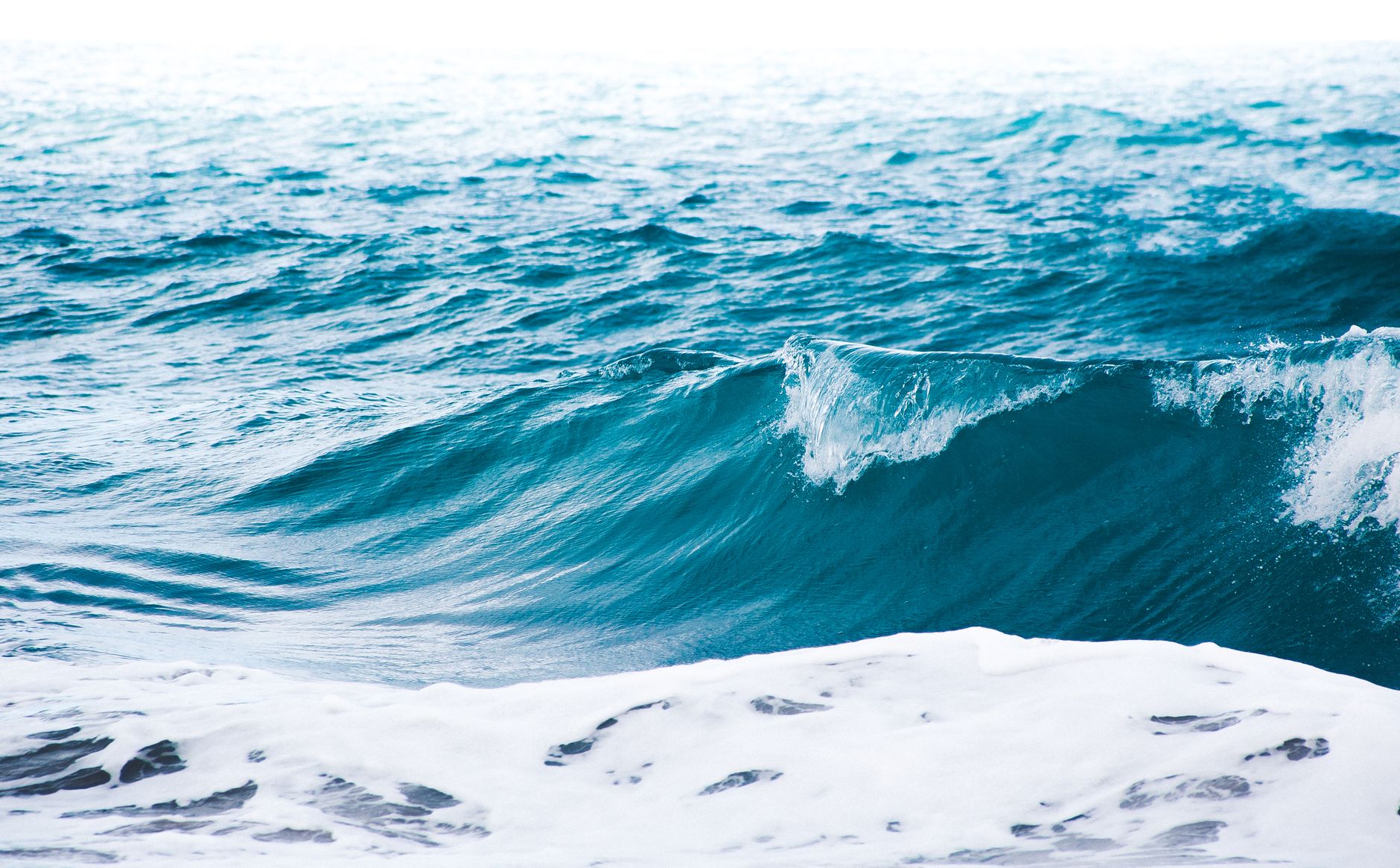 Ocean Day in Mexico: Marine Conservation