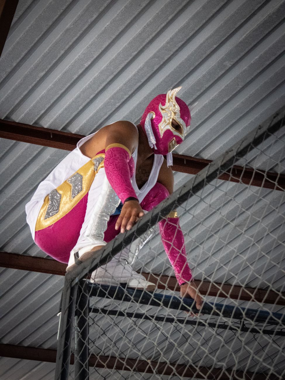 Lucha Libre Day: Celebrate Mexican Wrestling